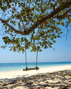 Enchanting Andaman Tour Package