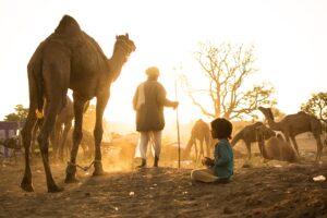 Pushkar Fair Tour Package