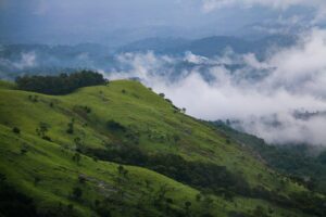 Coorg and Wayanad Tour Package