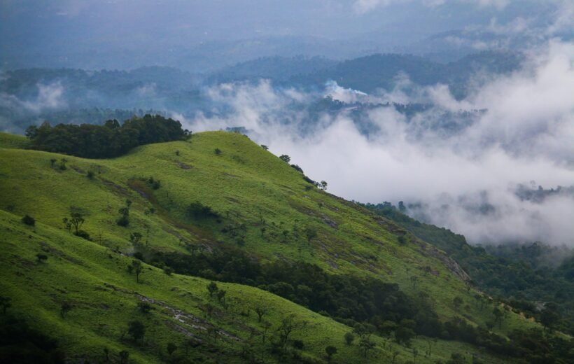 Coorg and Wayanad Tour Package